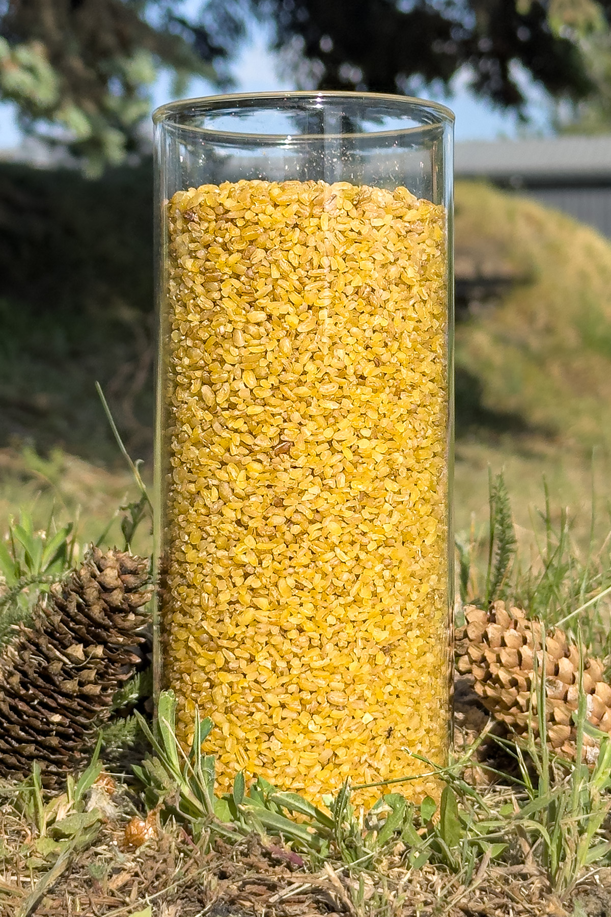 Extra coarse bulgur