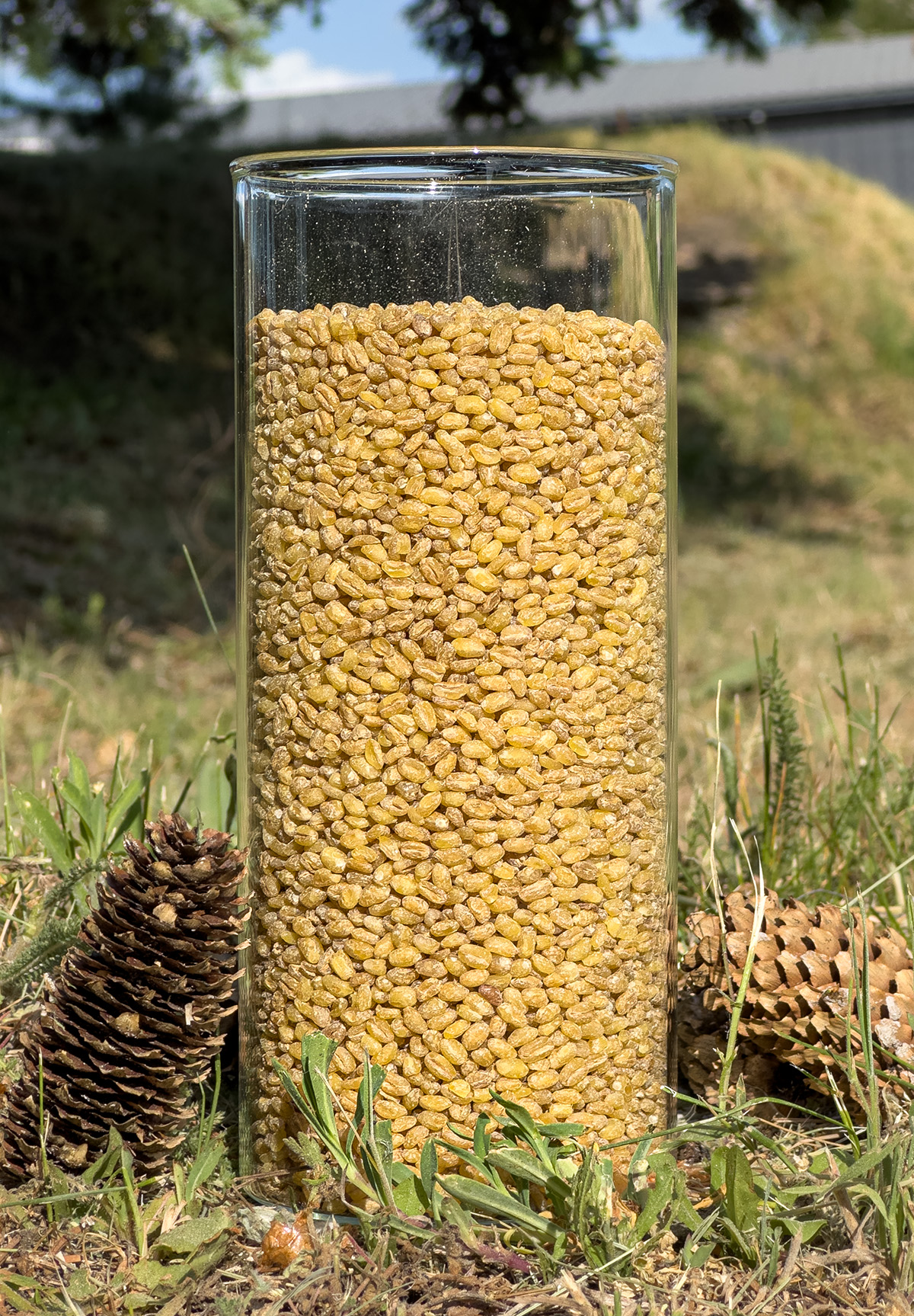 Wholegrain bulgur
