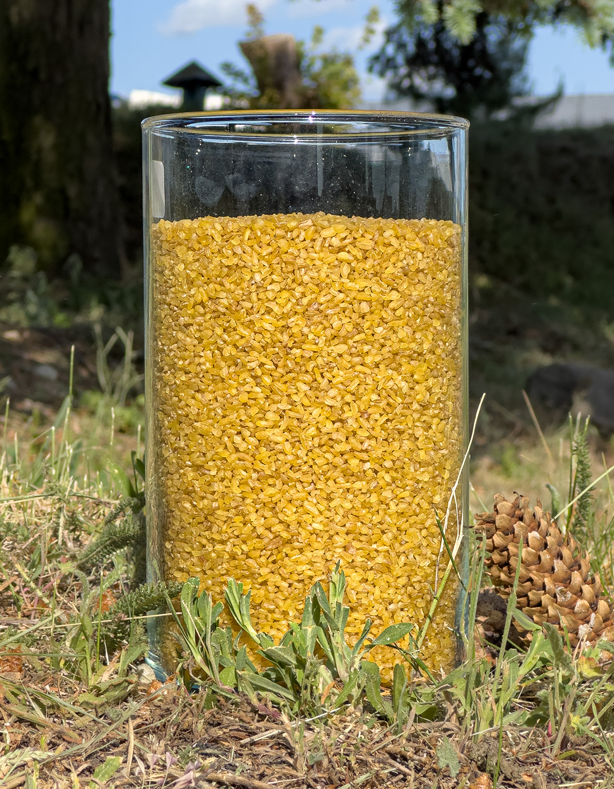 Coarse bulgur